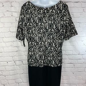 Worthington Sheath Dress Womens Size 14 Polar Bear Black Lace Lined New w/Tags